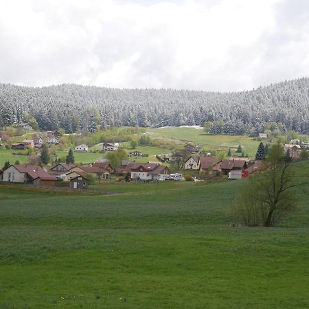 Spa Et Sauna Xonrupt-Longemer Εξωτερικό φωτογραφία