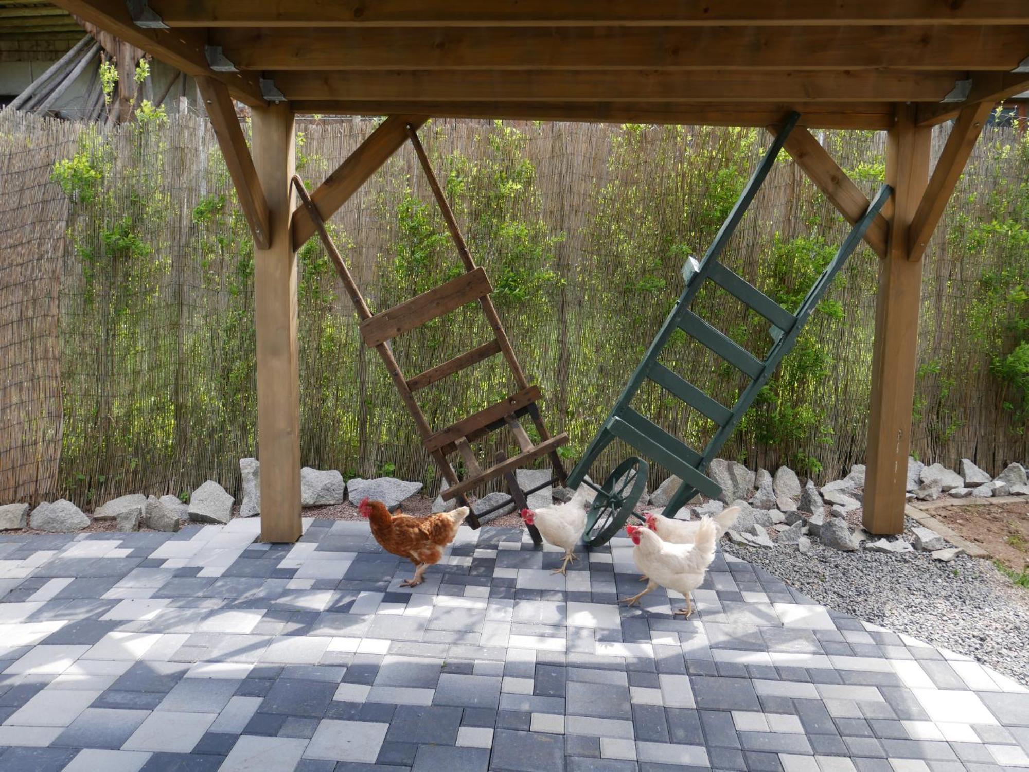 Spa Et Sauna Xonrupt-Longemer Εξωτερικό φωτογραφία